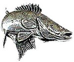 Just Fish Pewter Zander Lapel Pin